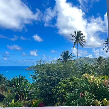 Happy Nest Dominica Hotel Marigot Exterior photo